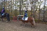 Badyhoeve is een terrein dat tot 3kinderen en hun pony's met de hond Djackson behoort.