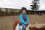 Badyhoeve is een terrein dat tot 3kinderen en hun pony's met de hond Djackson behoort.