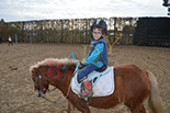 Badyhoeve is een terrein dat tot 3kinderen en hun pony's met de hond Djackson behoort.
