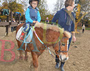 Badyhoeve is een terrein dat tot 3kinderen en hun pony's met de hond Djackson behoort.
