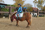Badyhoeve is een terrein dat tot 3kinderen en hun pony's met de hond Djackson behoort.