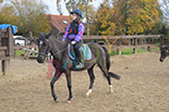 Badyhoeve is een terrein dat tot 3kinderen en hun pony's met de hond Djackson behoort.