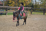 Badyhoeve is een terrein dat tot 3kinderen en hun pony's met de hond Djackson behoort.