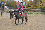 Badyhoeve is een terrein dat tot 3kinderen en hun pony's met de hond Djackson behoort.