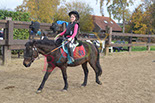 Badyhoeve is een terrein dat tot 3kinderen en hun pony's met de hond Djackson behoort.