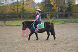 Badyhoeve is een terrein dat tot 3kinderen en hun pony's met de hond Djackson behoort.