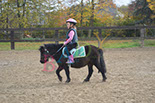 Badyhoeve is een terrein dat tot 3kinderen en hun pony's met de hond Djackson behoort.