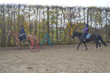 Badyhoeve is een terrein dat tot 3kinderen en hun pony's met de hond Djackson behoort.