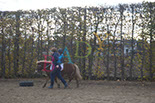 Badyhoeve is een terrein dat tot 3kinderen en hun pony's met de hond Djackson behoort.