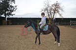 Badyhoeve is een terrein dat tot 3kinderen en hun pony's met de hond Djackson behoort.