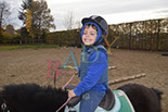 Badyhoeve is een terrein dat tot 3kinderen en hun pony's met de hond Djackson behoort.