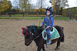 Badyhoeve is een terrein dat tot 3kinderen en hun pony's met de hond Djackson behoort.