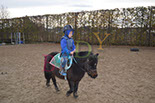 Badyhoeve is een terrein dat tot 3kinderen en hun pony's met de hond Djackson behoort.