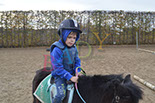 Badyhoeve is een terrein dat tot 3kinderen en hun pony's met de hond Djackson behoort.