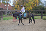 Badyhoeve is een terrein dat tot 3kinderen en hun pony's met de hond Djackson behoort.