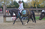 Badyhoeve is een terrein dat tot 3kinderen en hun pony's met de hond Djackson behoort.