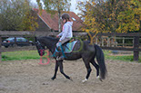 Badyhoeve is een terrein dat tot 3kinderen en hun pony's met de hond Djackson behoort.