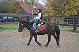 Badyhoeve is een terrein dat tot 3kinderen en hun pony's met de hond Djackson behoort.
