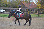 Badyhoeve is een terrein dat tot 3kinderen en hun pony's met de hond Djackson behoort.