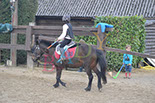 Badyhoeve is een terrein dat tot 3kinderen en hun pony's met de hond Djackson behoort.