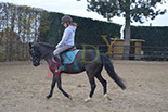 Badyhoeve is een terrein dat tot 3kinderen en hun pony's met de hond Djackson behoort.