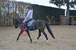 Badyhoeve is een terrein dat tot 3kinderen en hun pony's met de hond Djackson behoort.