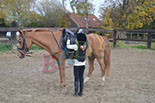 Badyhoeve is een terrein dat tot 3kinderen en hun pony's met de hond Djackson behoort.