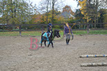 Badyhoeve is een terrein dat tot 3kinderen en hun pony's met de hond Djackson behoort.