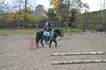 Badyhoeve is een terrein dat tot 3kinderen en hun pony's met de hond Djackson behoort.