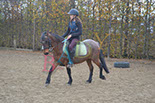 Badyhoeve is een terrein dat tot 3kinderen en hun pony's met de hond Djackson behoort.