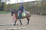 Badyhoeve is een terrein dat tot 3kinderen en hun pony's met de hond Djackson behoort.