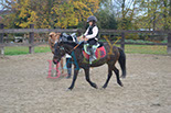 Badyhoeve is een terrein dat tot 3kinderen en hun pony's met de hond Djackson behoort.
