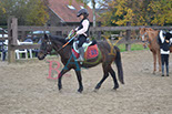 Badyhoeve is een terrein dat tot 3kinderen en hun pony's met de hond Djackson behoort.