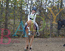 Badyhoeve is een terrein dat tot 3kinderen en hun pony's met de hond Djackson behoort.