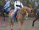 Badyhoeve is een terrein dat tot 3kinderen en hun pony's met de hond Djackson behoort.