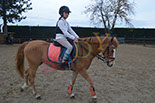 Badyhoeve is een terrein dat tot 3kinderen en hun pony's met de hond Djackson behoort.