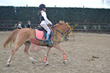 Badyhoeve is een terrein dat tot 3kinderen en hun pony's met de hond Djackson behoort.