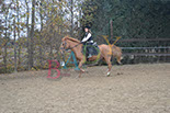 Badyhoeve is een terrein dat tot 3kinderen en hun pony's met de hond Djackson behoort.