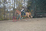 Badyhoeve is een terrein dat tot 3kinderen en hun pony's met de hond Djackson behoort.