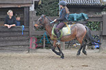 Badyhoeve is een terrein dat tot 3kinderen en hun pony's met de hond Djackson behoort.
