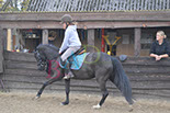 Badyhoeve is een terrein dat tot 3kinderen en hun pony's met de hond Djackson behoort.