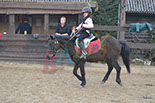 Badyhoeve is een terrein dat tot 3kinderen en hun pony's met de hond Djackson behoort.