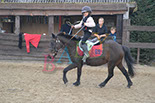Badyhoeve is een terrein dat tot 3kinderen en hun pony's met de hond Djackson behoort.