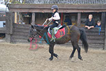 Badyhoeve is een terrein dat tot 3kinderen en hun pony's met de hond Djackson behoort.
