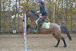Badyhoeve is een terrein dat tot 3kinderen en hun pony's met de hond Djackson behoort.