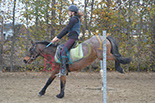 Badyhoeve is een terrein dat tot 3kinderen en hun pony's met de hond Djackson behoort.