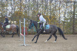 Badyhoeve is een terrein dat tot 3kinderen en hun pony's met de hond Djackson behoort.