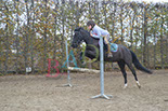 Badyhoeve is een terrein dat tot 3kinderen en hun pony's met de hond Djackson behoort.