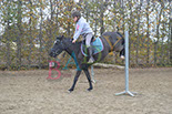 Badyhoeve is een terrein dat tot 3kinderen en hun pony's met de hond Djackson behoort.