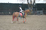 Badyhoeve is een terrein dat tot 3kinderen en hun pony's met de hond Djackson behoort.